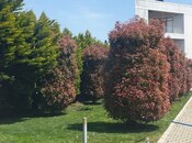 Satılır 7 otaqlı həyət evi/bağ evi 500 m², Mərdəkan q., photo 4 from 8