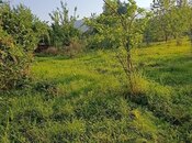 Satılır  torpaq 70 sot, photo 4 from 4