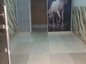 Сдаётся  объект 26 м², м. Низами, photo 3 from 8