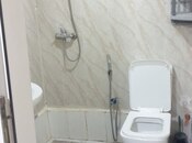 Сдаётся  объект 26 м², м. Низами, photo 8 from 8