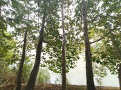 Продаётся  объект 220 м², м. Элмляр Академиясы, photo 6 from 8