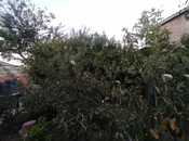 Продаётся 5-комн. дом/дача 200 м², photo 7 from 8