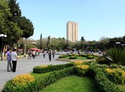 Satılır 1 otaqlı köhnə tikili 40 m², Nəriman Nərimanov m., photo 3 from 8