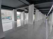 Сдаётся  объект 2 200 м², м. Низами, photo 5 from 8