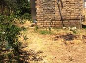 Satılır  torpaq 4 sot, Nəsimi m., photo 3 from 4