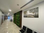 İcarəyə verilir 6 otaqlı ofis 259 m², Nəriman Nərimanov m., photo 8 from 8