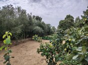 Продается  участок 12 сот, пос. Нардаран, photo 1 from 8