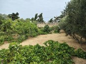 Продается  участок 12 сот, пос. Нардаран, photo 7 from 8