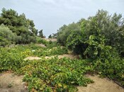 Продается  участок 12 сот, пос. Нардаран, photo 6 from 8
