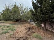 Satılır  torpaq 6 sot, Şağan q., photo 1 from 8
