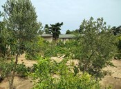 Продается 7-комн. дом/дача 170 м², пос. Нардаран, photo 7 from 8