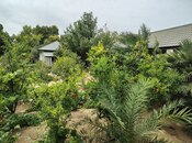 Продается 7-комн. дом/дача 170 м², пос. Нардаран, photo 4 from 8