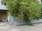 Сдаётся 2-комн. вторичка 55 м², пос. Бинагади, photo 2 from 8