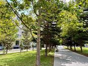 Satılır 3 otaqlı yeni tikili 85.7 m², Nəsimi r., photo 3 from 8
