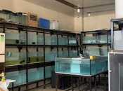 Продаётся  объект 70 м², м. Нефтчиляр, photo 2 from 6