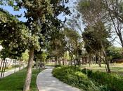 Satılır 2 otaqlı yeni tikili 75 m², Nərimanov r., photo 7 from 7