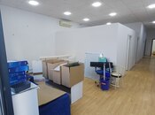 Сдаётся  объект 155 м², м. Низами, photo 3 from 8