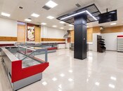 Satılır  obyekt 730 m², Gənclik m., photo 8 from 8