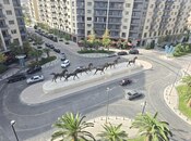 Продаётся 5-комн. новостройка 254 м², м. Шах Исмаил Хатаи, photo 2 from 8