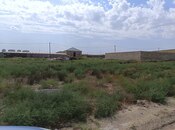 Satılır  torpaq 3 sot, Masazır q., photo 1 from 6