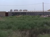 Satılır  torpaq 3 sot, Masazır q., photo 2 from 6