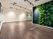 Сдаётся  объект 225 м², м. Сахил, photo 2 from 8
