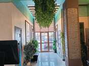 Сдаётся  объект 1 000 м², Сабаильский р., photo 3 from 8