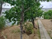 Сдаётся  объект 250 м², м. Кара Караев, photo 5 from 8