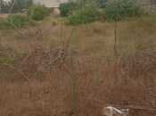 Satılır  torpaq 22 sot, Bilgəh q., photo 1 from 4