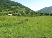 Satılır  torpaq 50 sot, photo 6 from 7