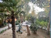 İcarəyə verilir  obyekt 800 m², Mərdəkan q., photo 5 from 8