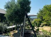 İcarəyə verilir 4 otaqlı həyət evi/bağ evi 120 m², Xəzər r., photo 4 from 8