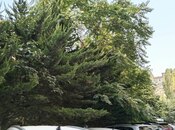 Satılır 2 otaqlı köhnə tikili 65 m², Elmlər Akademiyası m., photo 2 from 8