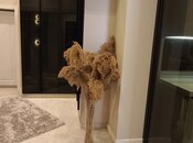Сдаётся 2-комн. новостройка 70 м², Насиминский  р., photo 3 from 8