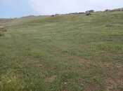 Продается  участок 8 сот, пос. Кобу, photo 1 from 3