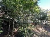 Продаётся  участок 3.8 сот, м. Насими, photo 2 from 2