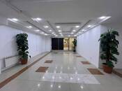Сдается  объект 300 м², м. 28 мая, photo 5 from 8
