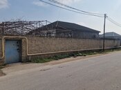 Продается  участок 120 сот, пос. Бина, photo 7 from 8