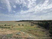 Satılır  torpaq 250 sot, Saray q., photo 5 from 8