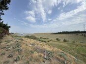 Satılır  torpaq 250 sot, Saray q., photo 6 from 8