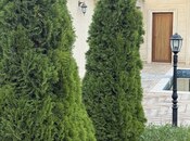 Satılır 6 otaqlı həyət evi/bağ evi 420 m², Bilgəh q., photo 3 from 8
