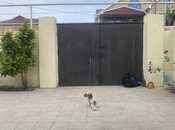 İcarəyə verilir 6 otaqlı həyət evi/bağ evi 220 m², Digah q., photo 7 from 8