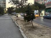 Satılır 2 otaqlı köhnə tikili 50 m², Memar Əcəmi m., photo 2 from 7