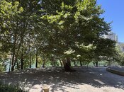 Satılır  obyekt 217 m², İnşaatçılar m., photo 5 from 8