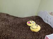 Сдается 2-комн. вторичка 55 м², м. Элмляр Академиясы, photo 5 from 8