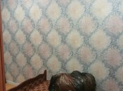 İcarəyə verilir 2 otaqlı həyət evi/bağ evi 60 m², Biləcəri q., photo 4 from 7