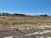 Продается  участок 120 сот, пос. Бина, photo 2 from 8