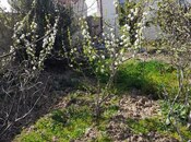 Satılır 3 otaqlı həyət evi/bağ evi 67 m², photo 3 from 8