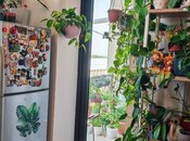 Satılır 2 otaqlı yeni tikili 50 m², photo 3 from 8