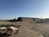 Satılır  obyekt 20 000 m², Zirə q., photo 6 from 8
